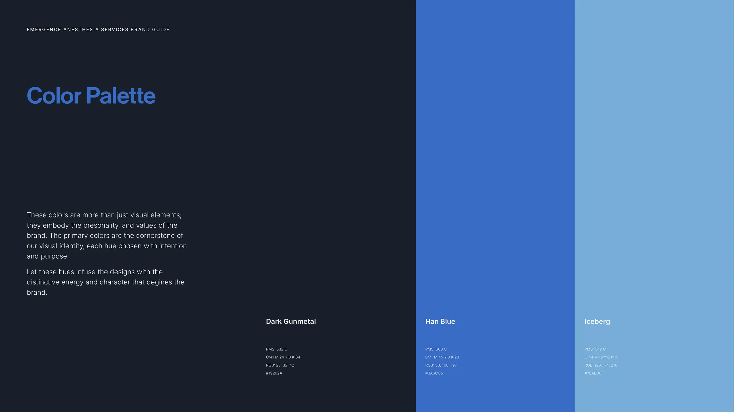 Emergence Anesthesia Services brand identity 5